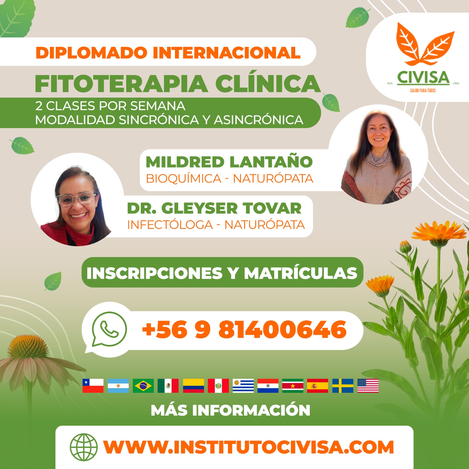 Diplomado Internacional Fitoterapia Clínica