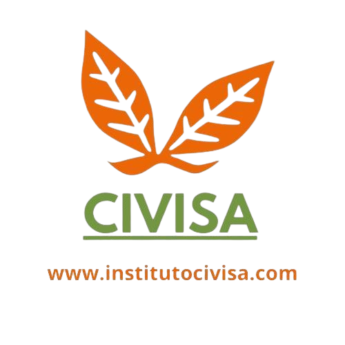 Instituto CIVISA